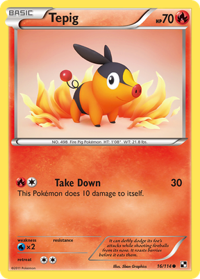 Tepig