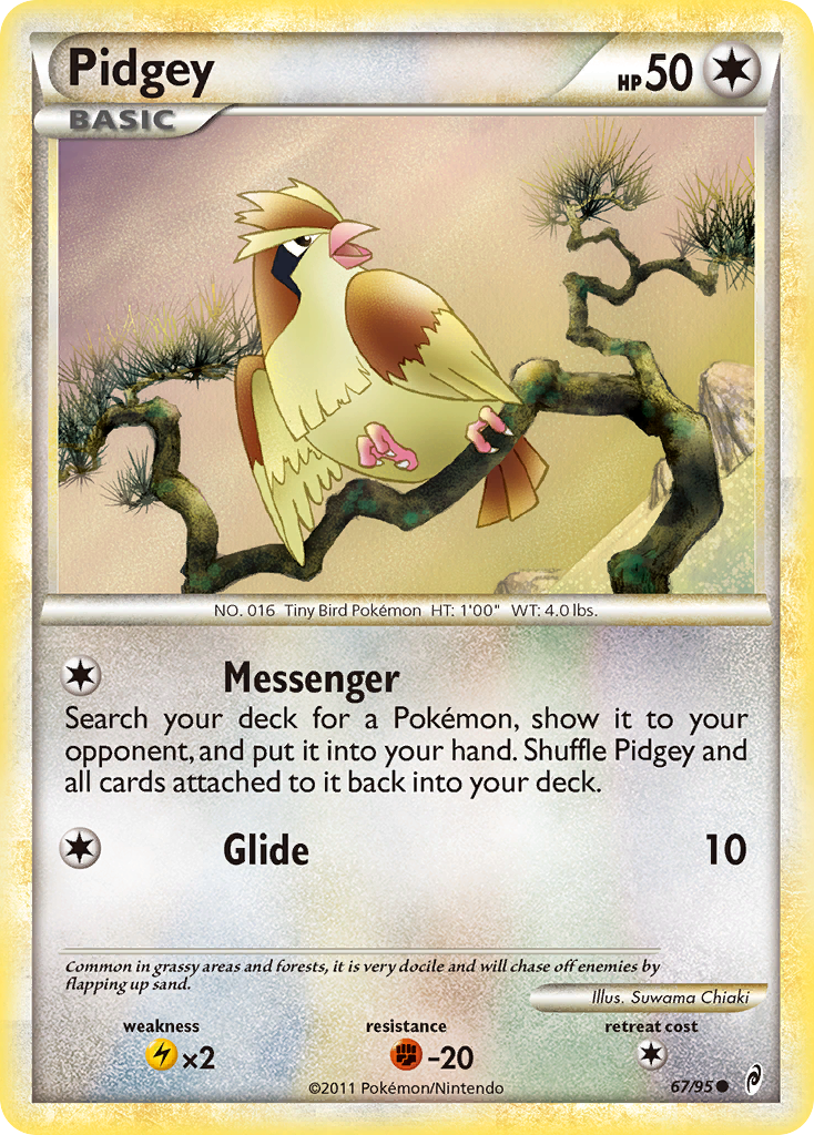 Pidgey