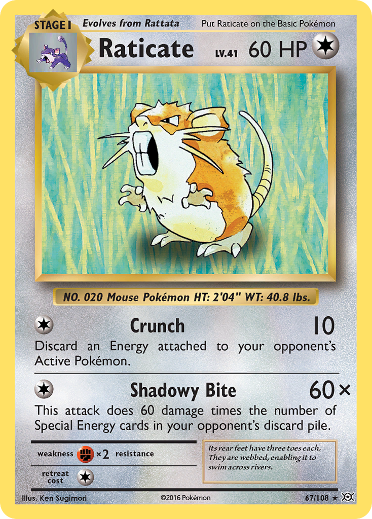 Raticate